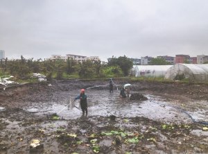 崂山河道鱼塘清淤